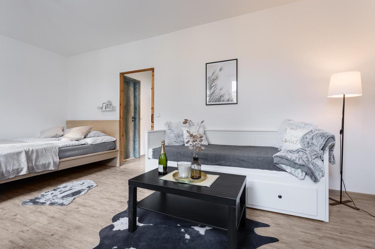 Vlevo Dole Koko Apartment Rokytnice nad Jizerou Exterior foto